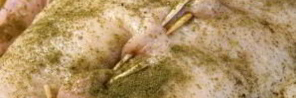 утка в духовке