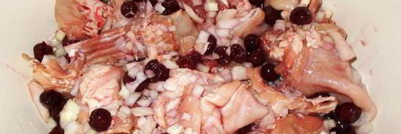 вишневый кролик