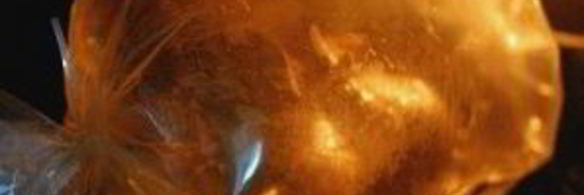 запеченная утка в рукаве