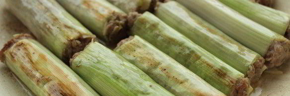 фаршированный порей в сливочном соусе, запеченный под сыром джюгас