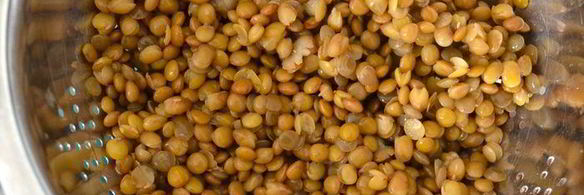 мусака из грибов и чечевицы