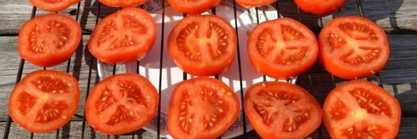 помидоры на гриле