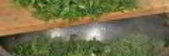 говяжья печенка в лимонном соусе