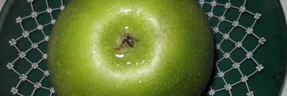 куриная печень с яблоком