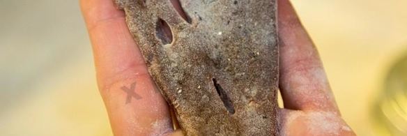 печень по-венециански