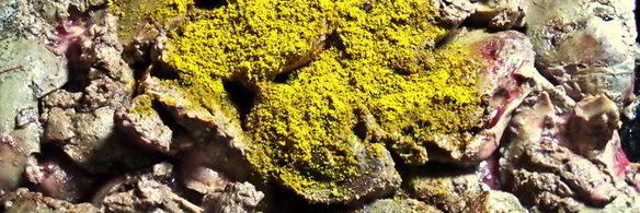 печенка под овощной шубкой