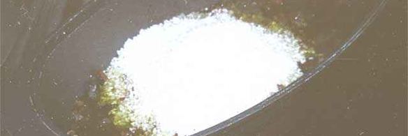 плов классический