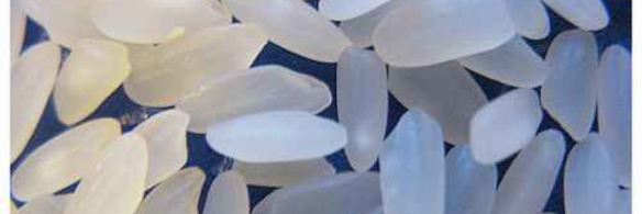 плов по-узбекски