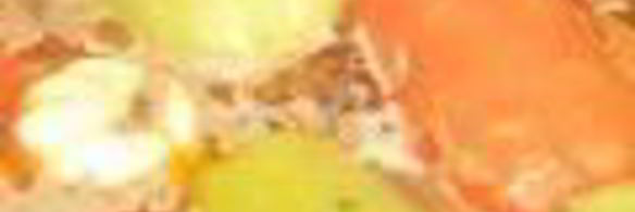 плов с фаршированным болгарским перцем