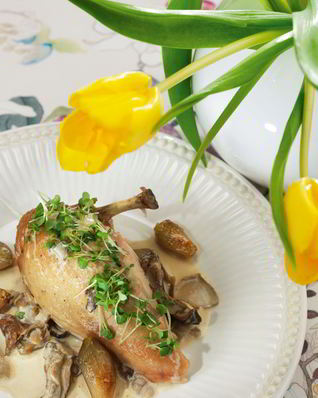 Куриное фрикасе с грибами