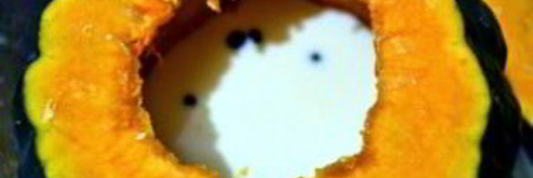 рагу из говядины в тыкве по-аргентински