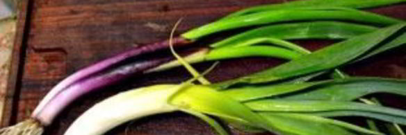 рагу из говядины в тыкве по-аргентински