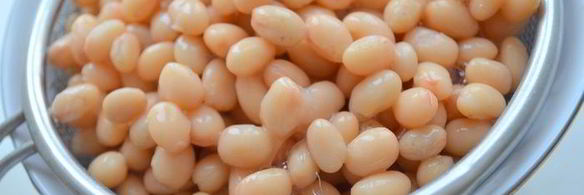 цельнозерновые сметанные треугольники с аппетитным рагу из индейки