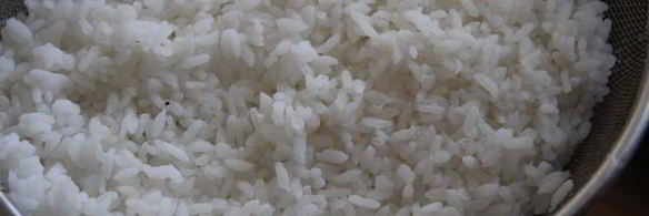 запеканка фрикасе из курицы