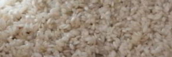 ризотто с грибами