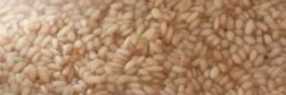 ризотто с грибами