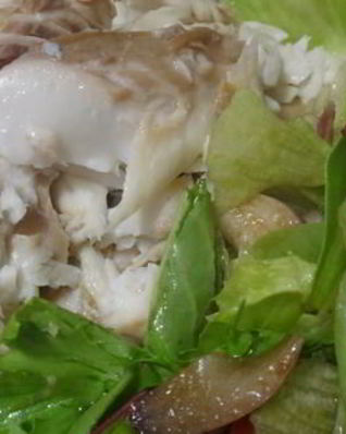 Дорада в снегу