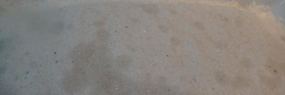 дорада в снегу