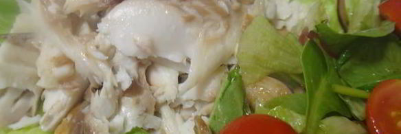 дорада в снегу