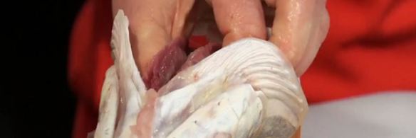 фаршированная щука