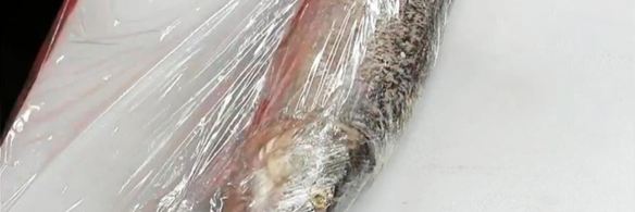 фаршированная щука