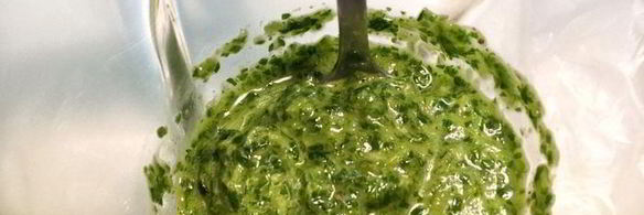 кальмар, фаршированный крабовыми палочками