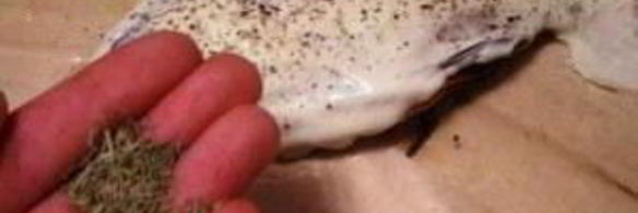 карась в сметане