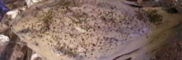 карась в сметане