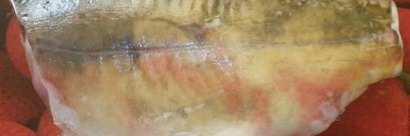 карп жареный в сметане