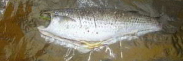 кефаль, запеченная в фольге