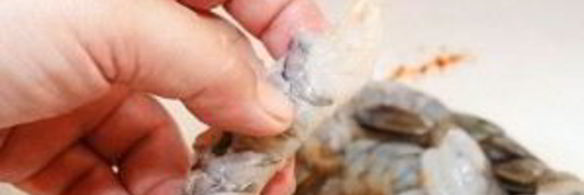 креветки на гриле