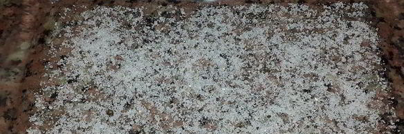 лосось малосольный