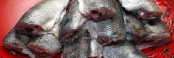 морской окунь на гриле