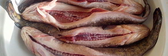 налим запеченный с болгарским перцем и овощами