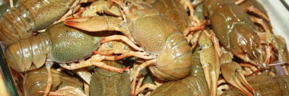 раки в молоке