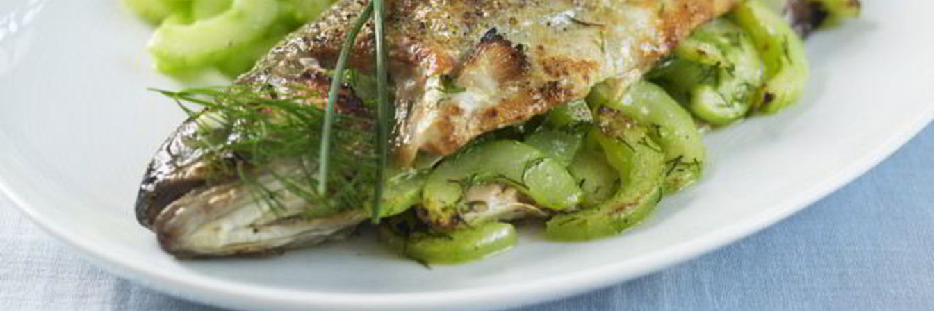 Речная форель