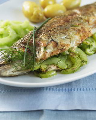 Речная форель