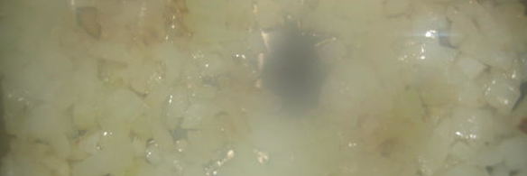 рыба ливорно