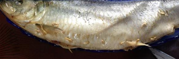 сельдь с беконом и грибами