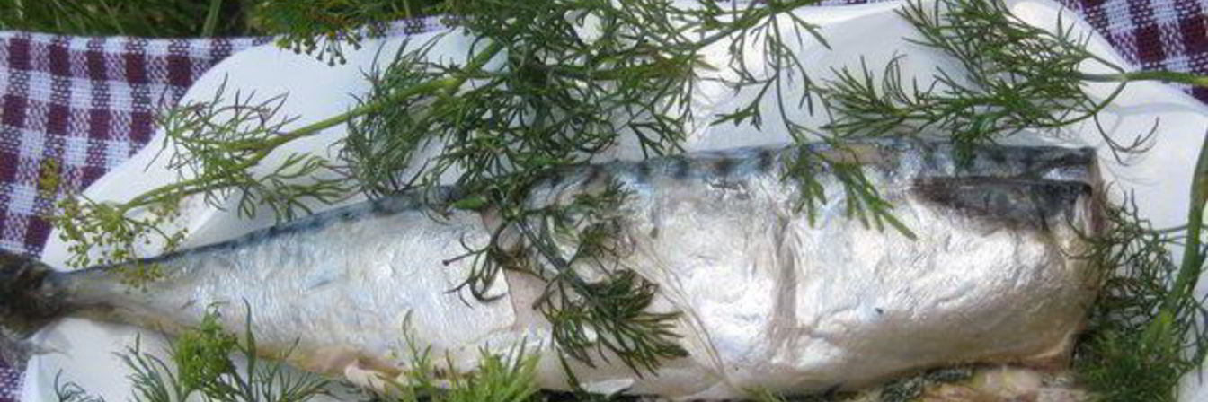 Скумбрия-гриль с маслом и укропом