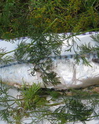 Скумбрия-гриль с маслом и укропом