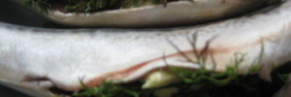 скумбрия-гриль с маслом и укропом