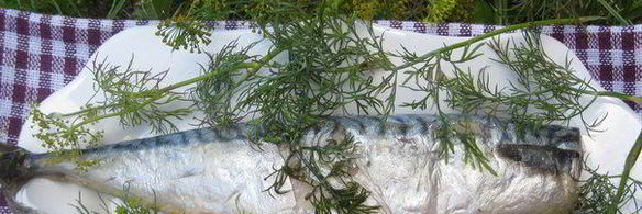 скумбрия-гриль с маслом и укропом