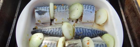 скумбрия — коптим на природе