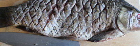 спряженный карп