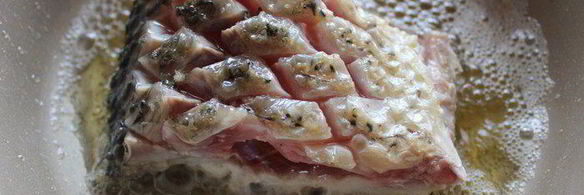 спряженный карп