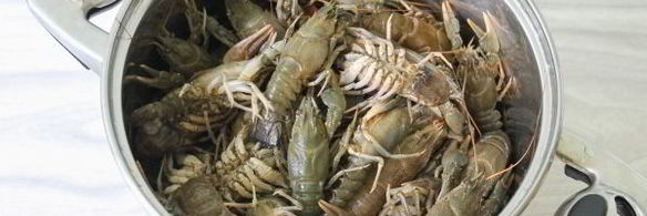 вареные раки