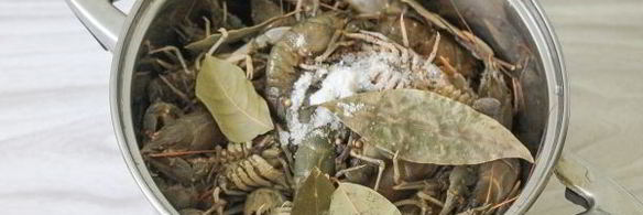 вареные раки