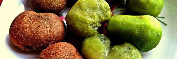 шашлычки к вину