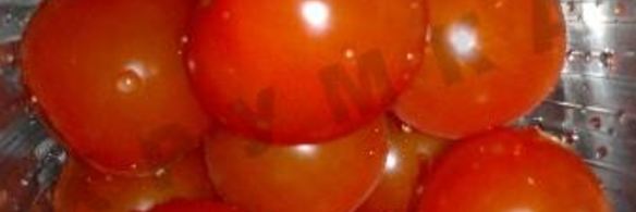 шашлык из бычьих яиц в духовке